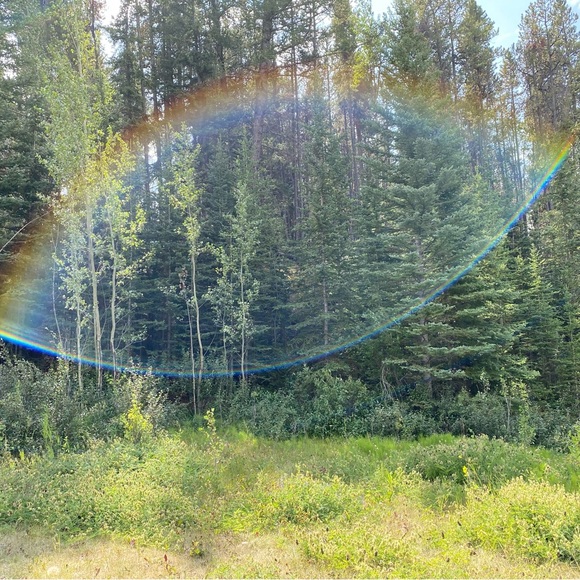 Meet your Posher, Norah - Picture 7 of 13